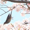 えいっ!