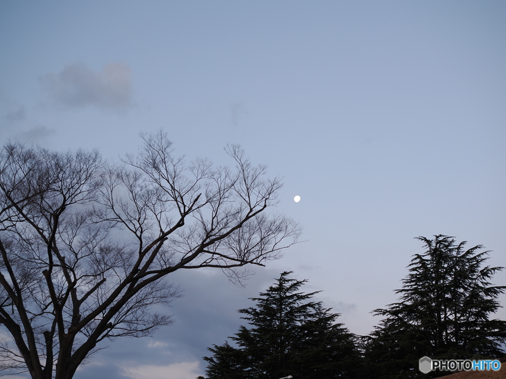 朝の月