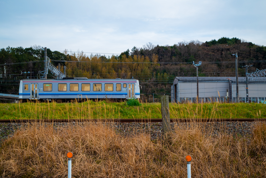 電車彩