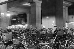自転車群