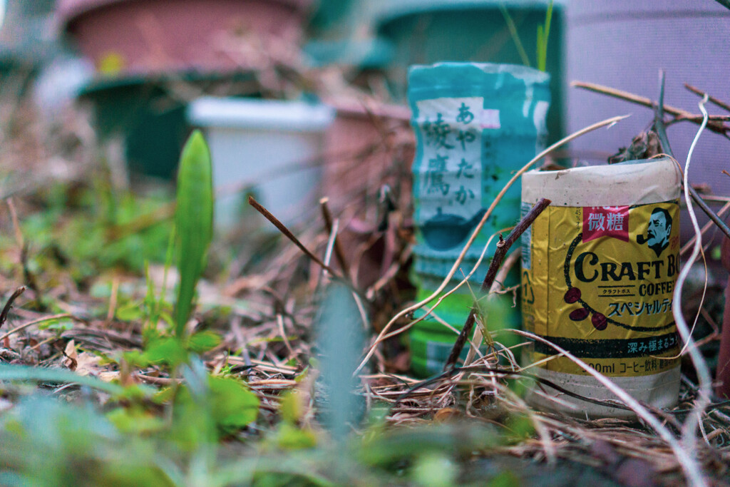 家庭菜園