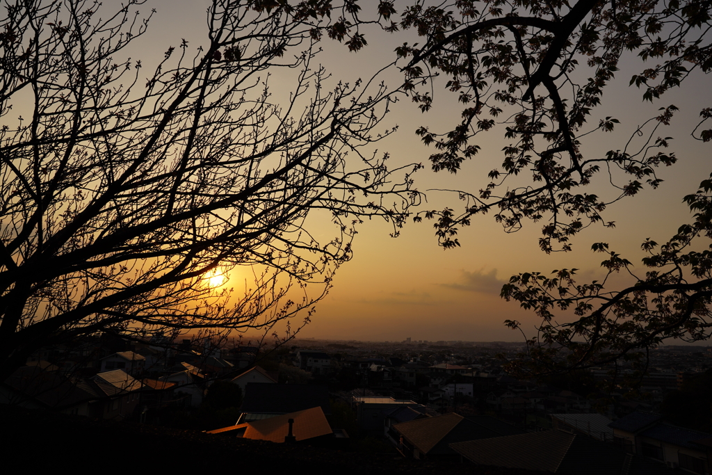 夕景