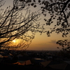 夕景