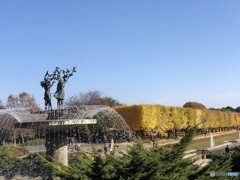 昭和記念公園