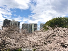 パークシティ