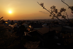 夕景　桜