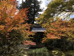 西光寺