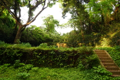 観音崎第二砲台跡