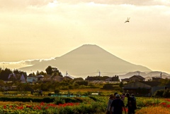 富士山