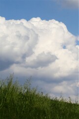 真夏のような雲が・・・