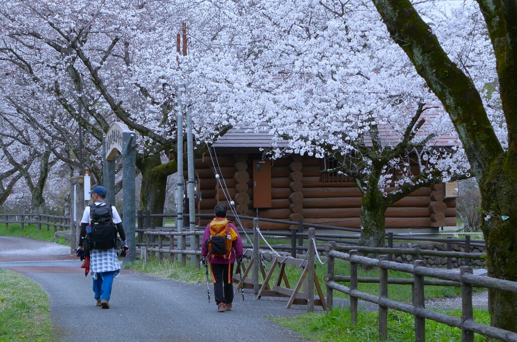 山歩きの帰りに・・・