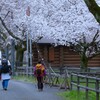 山歩きの帰りに・・・