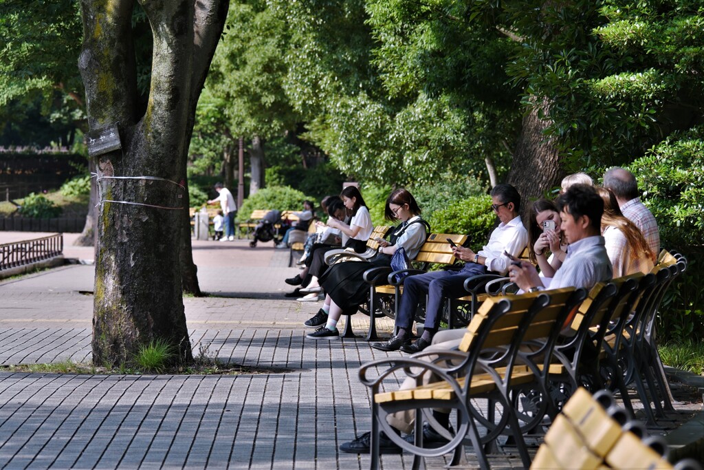 平日の「午後の公園」にて（2）