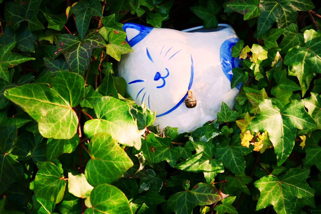 ① 境内の至る所に猫の置物が・・・