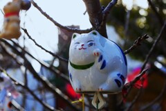 ③ 境内の至る所に猫の置物が・・・