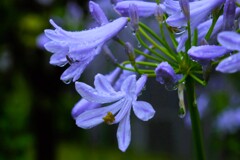 晴れの日も雨の日も（2）