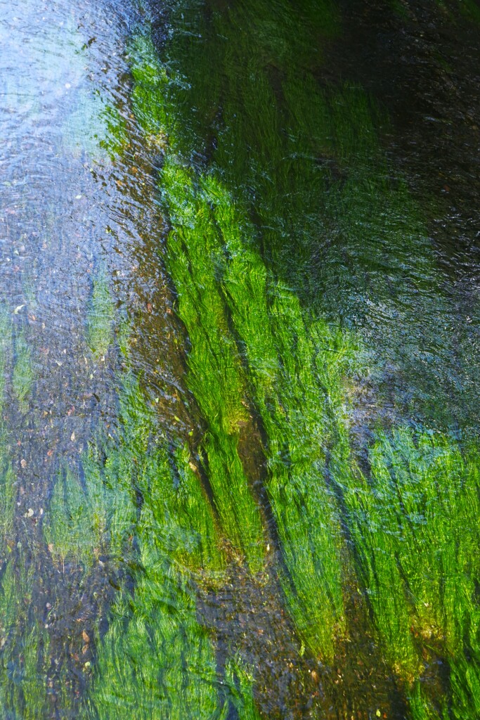水温む候（2）
