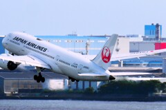 ③ take off　JAL  Boeing 787-8
