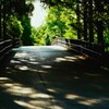 木漏れ日の「けやき橋」