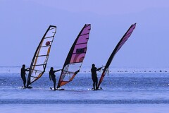 ② 沖では、ウィンドサーフィンをしてました。