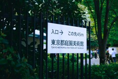 今日は「敬老の日」