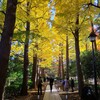 ⑤ 大田黒公園の紅葉