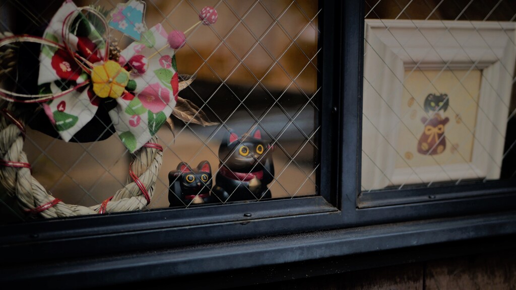 窓越しに黒猫さんが手招きしてくれた。
