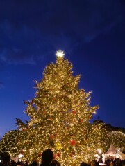 ④ X’mas 週間
