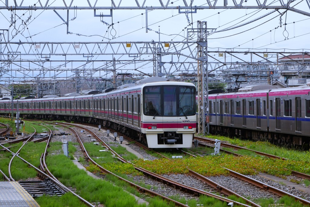 高幡不動駅にて（1）