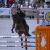 メインアリーナで開催された障害飛越競技（2）