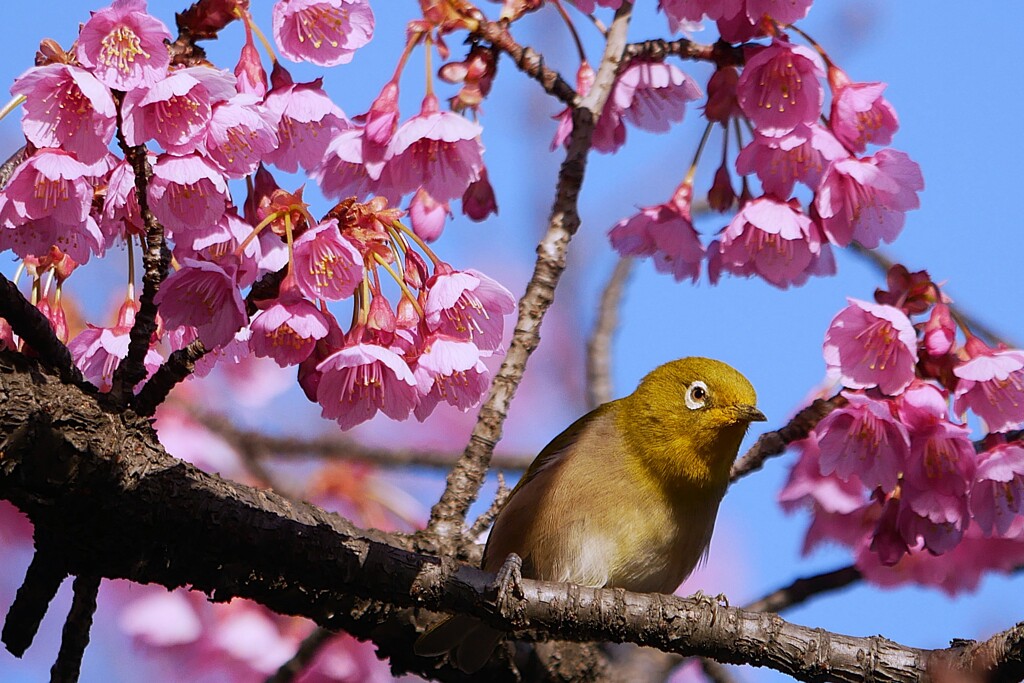 次はどこに行こうかな・・・