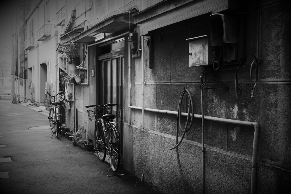 ジョイフル三の輪商店街の路地（1）