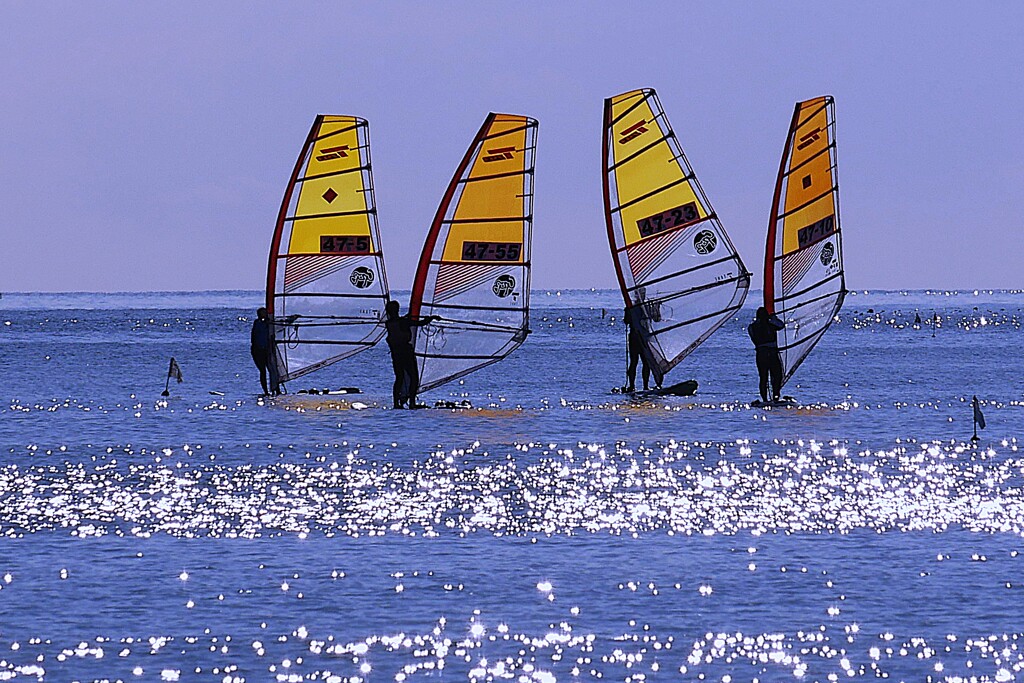 ④ 沖では、ウィンドサーフィンをしてました。