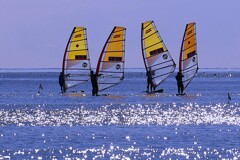 ④ 沖では、ウィンドサーフィンをしてました。