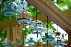 ④ 夏の音色