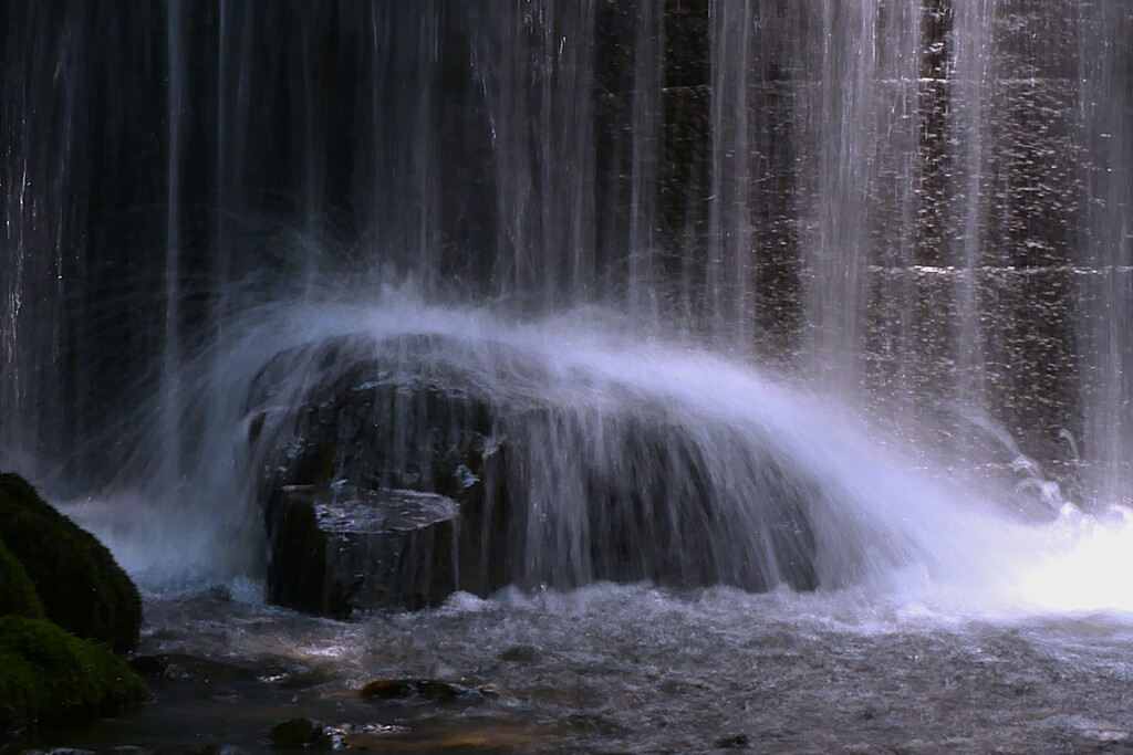 白糸の滝 園内の「白糸の滝」 by ken2023 （ID：13095327） - 写真共有