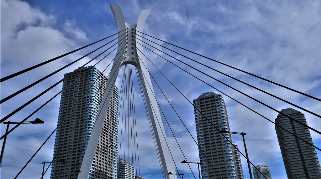 中央大橋で仰ぎ見ると・・・