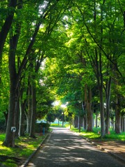 新緑の季節ですねぇ～