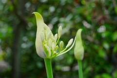 ④ 近くの公園にて