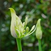 ④ 近くの公園にて