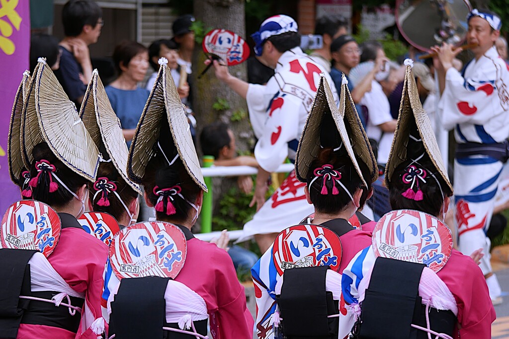踊らにゃ 損々
