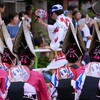 踊らにゃ 損々