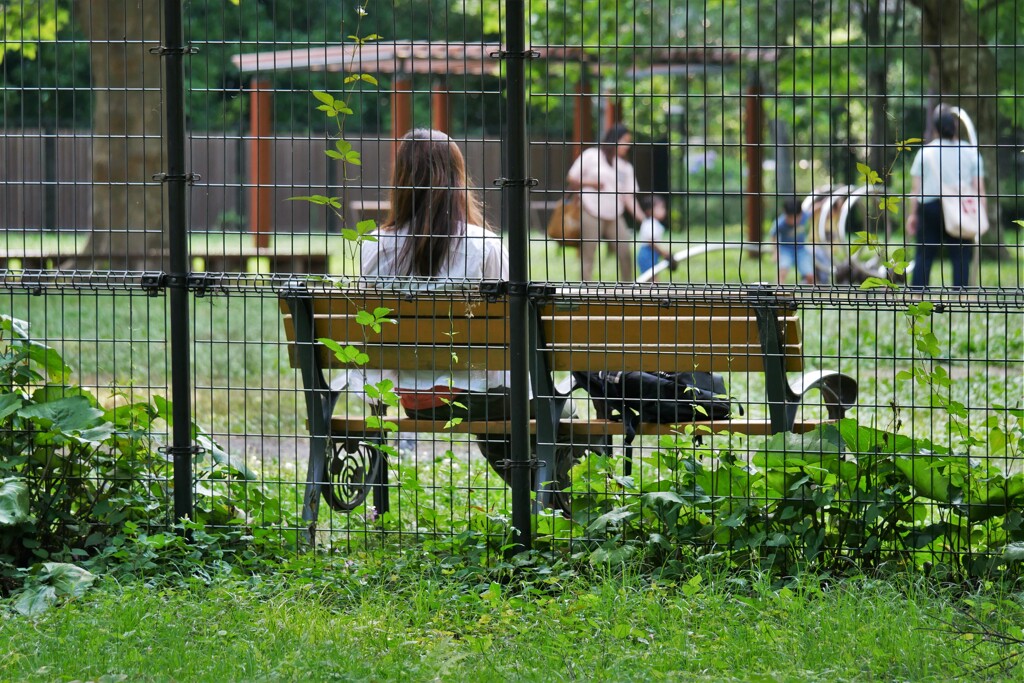 平日の「午後の公園」にて（3）