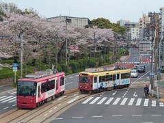 ③ 都電のある風景