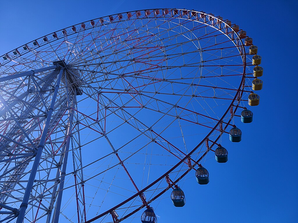 葛西臨海公園といえば・・・これですね。