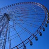 葛西臨海公園といえば・・・これですね。