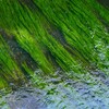 水温む候（1）