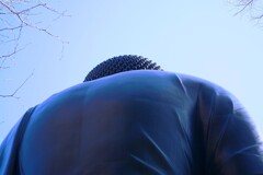 「東京大仏」の背中です。