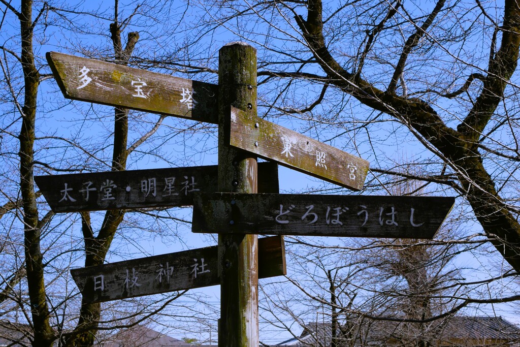 喜多院では・・・