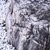 ① 岩肌に魅せられて・・・